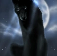 wolfy12