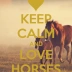 alwayslovehorse