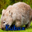 kubox