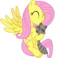 Fluttershy666