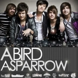 a_bird_a_sparrow