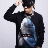 dok2