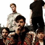 foals