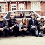 marmozets