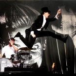 the_hives