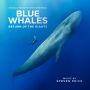Soundtrack Blue Whales - Return of the Giants