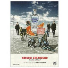 absolut___absolut_greyhound