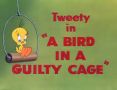 Soundtrack A Bird in a Guilty Cage