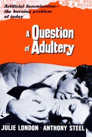 a_question_of_adultery