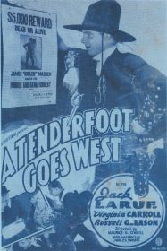 a_tenderfoot_goes_west