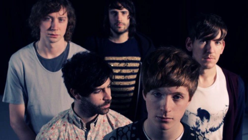 foals