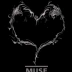 muse200