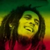 lovereggaelove