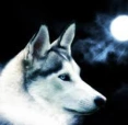 WhiteWolf