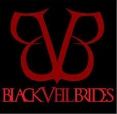 BVBarmyForever