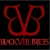 bvbarmyforever