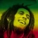reggae8