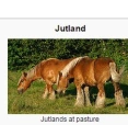 Jutland