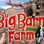 big_barn_farm