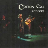 cotton_cat
