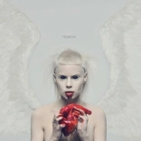 die_antwoord