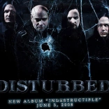 disturbed