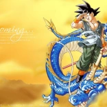 dragon_ball