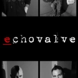 echovalve