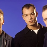 fine_young_cannibals