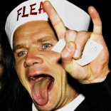 flea