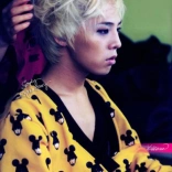 g_dragon