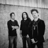 newsted