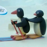 pingu