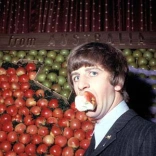 ringo_starr