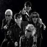 scorpions