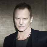 sting