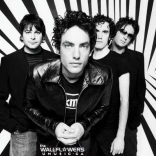 the_wallflowers