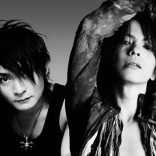 vamps