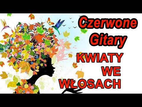 Czerwone Gitary Kwiaty We Wlosach Tekst I Tlumaczenie Piosenki Na Tekstowo Pl