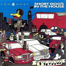 short_dog_s_in_the_house