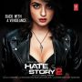 Soundtrack Hate Story 2