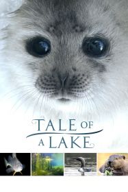 tale_of_a_lake