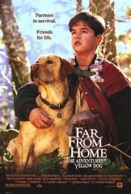 far_from_home__the_adventures_of_yellow_dog