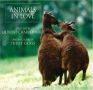 Soundtrack Animals in Love