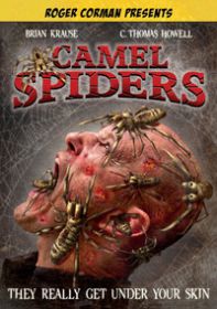 camel_spiders
