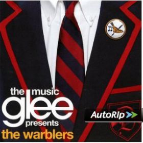 gleeglee__the_music_presents_the_warblers