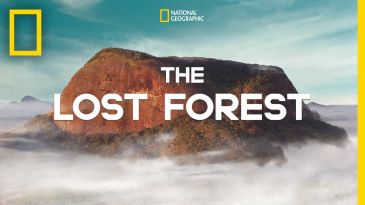 the_lost_forest