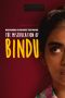 Soundtrack The Miseducation of Bindu
