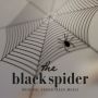 Soundtrack Foolish Monte Carlo (The Black Spider)