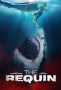 Soundtrack The Requin